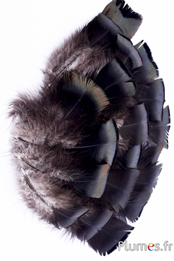 Dindon bronze - 5-15 cm - naturel anthracite métallisé